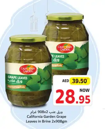 Union Coop California Garden Grape Leaves in Brine 2x908gm offer