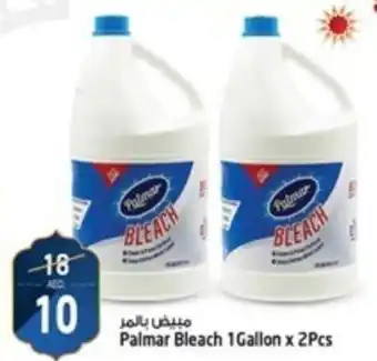 Safari Hypermarket Palmar Bleach 1 Gallon x 2Pcs offer