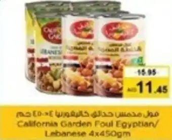 Nesto California Garden Foul Egyptian/ Lebanese 4x450gm offer