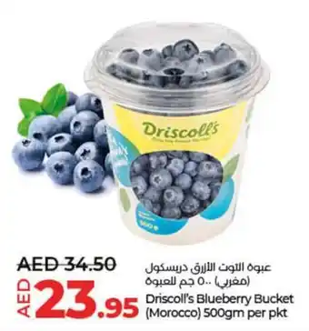 Lulu Hypermarket Driscoll's Blueberry Bucket (Morocco) 500gm per pkt offer