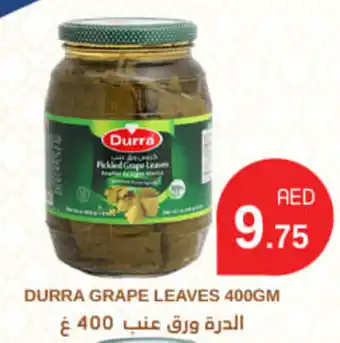 DURRA GRAPE LEAVES 400GM