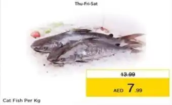 Nesto Cat Fish Per kg offer