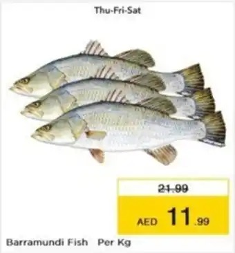 Nesto Barramundi Fish Per kg offer