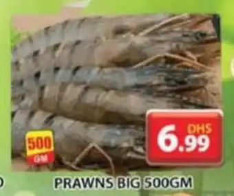 Grand Mall Sharjah PRAWNS BIG 500GM offer