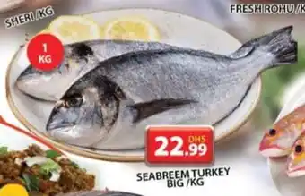 Grand Mall Sharjah SEABREEM TURKEY BIG 1kg offer