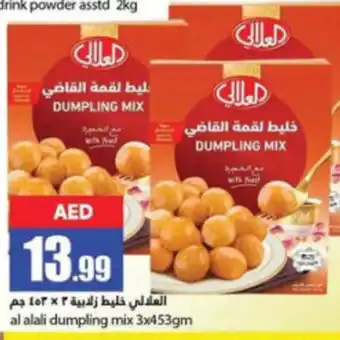Rawabi Market al alali dumpling mix 3x453gm offer