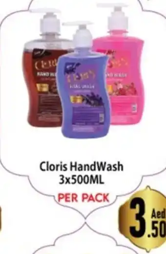 Day To Day Cloris Hand Wash 3x500ML offer