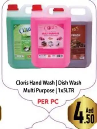 Day To Day Cloris Hand Wash | Dish Wash Multi Purpose | 1x5LTR offer