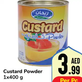 Day To Day Custard Custard Powder 1x400 g offer