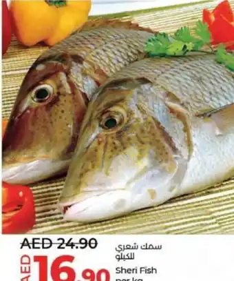 Lulu Hypermarket Sheri Fish per kg offer