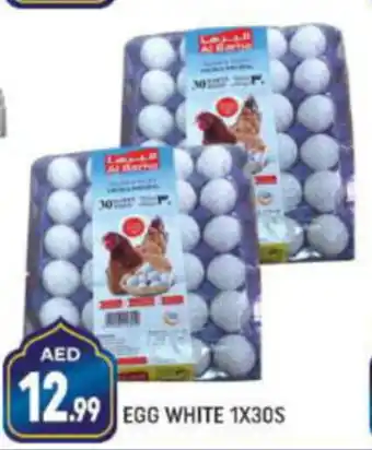 Shaklan EGG WHITE 1X30S offer