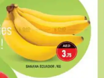 Shaklan BANANA ECUADOR KG offer