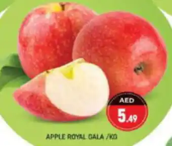 Shaklan APPLE ROYAL GALA KG offer