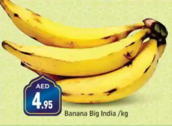 Shaklan Banana Big India kg offer