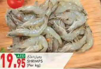 KM Trading SHRIMPS offer