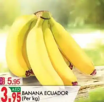 KM Trading BANANA ECUADOR offer
