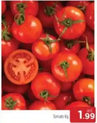 Al Madina Tomato kg offer