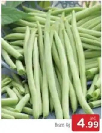 Al Madina Beans Kg offer