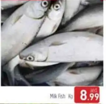 Al Madina Milk Fish Kg offer