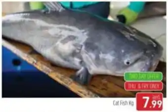 Al Madina Cat Fish Kg 7.99 offer