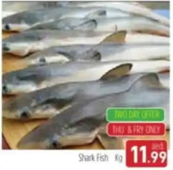 Al Madina Shark Fish Kg offer