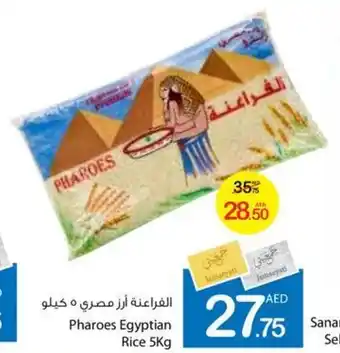 Ajman Market Pharoes Egyptian Rice 5kg offer