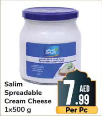 Day To Day Salim Spreadable Cream Cheese 1x500g offer