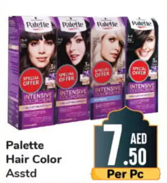 Day To Day Palette Hair Color Asstd offer