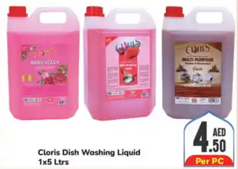 Day To Day Cloris Dish Washing Liquid 1x5 Ltrs offer