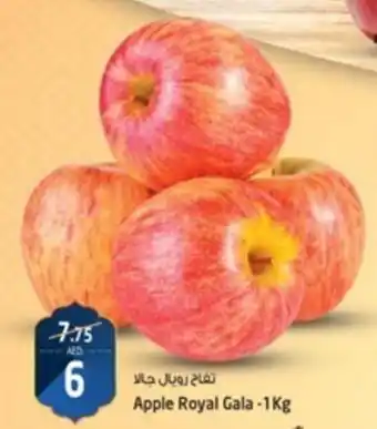 Safari Hypermarket Apple Royal Gala -1Kg offer