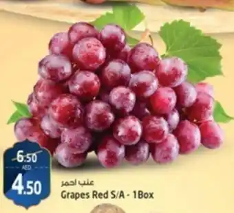 Safari Hypermarket Grapes Red S/A-1Box offer