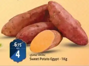 Safari Hypermarket Sweet Potato 1Kg offer