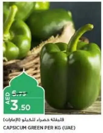Aswaaq CAPSICUM GREEN PER KG offer