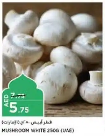 Aswaaq MUSHROOM WHITE 250G offer