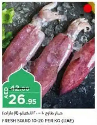 Aswaaq FRESH SQUID 10-20 PER KG offer