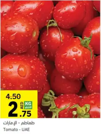 Sharjah Co-op Tomato offer