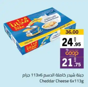 Sharjah Co-op Cheddar Cheese 6x113g offer