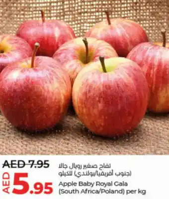 Lulu Hypermarket Apple Baby Royal Gala per kg offer