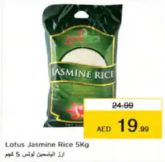 Nesto Lotus Jasmine Rice 5Kg offer