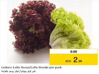 Nesto Lettuce Lollo Rosso/Lollo Biondo per pack offer