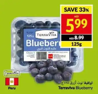 Viva Terraviva Blueberry 125g offer