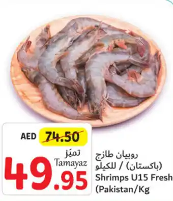 Union Coop Shrimps U15 Fresh /kg offer