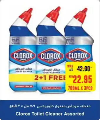 Megamart Clorox Toilet Cleaner Assorted offer