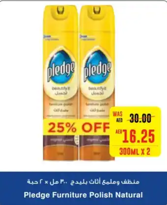 Megamart Pledge Furniture Polish Natural offer