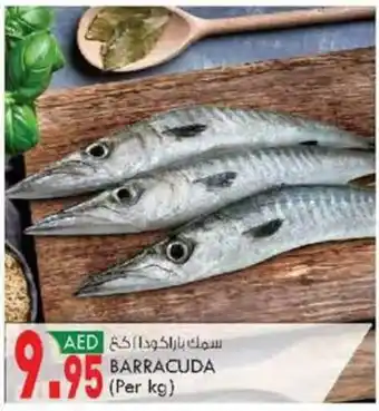 KM Trading BARRACUDA (Per kg) offer