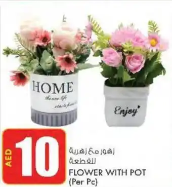 KM Trading FLOWER WITH POT offer