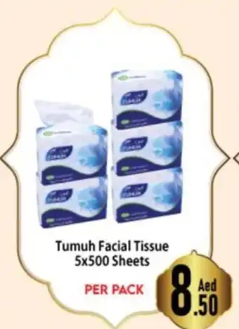Day To Day Tumuh Facial Tissue 5x500 Sheets offer