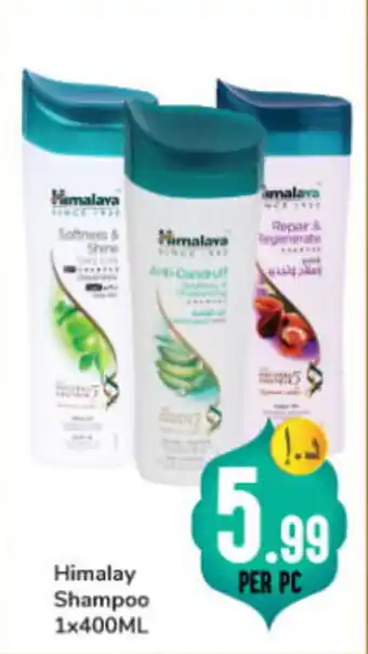 Day To Day Himalaya Softness AND Shine 1x400ML offer