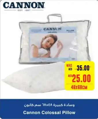 Spar Cannon Colossal Pillow 48X68CM offer