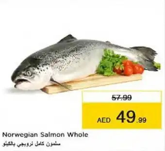 Nesto Salmon Whole offer